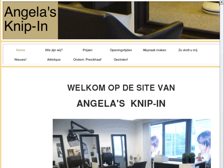 www.knip-in.com