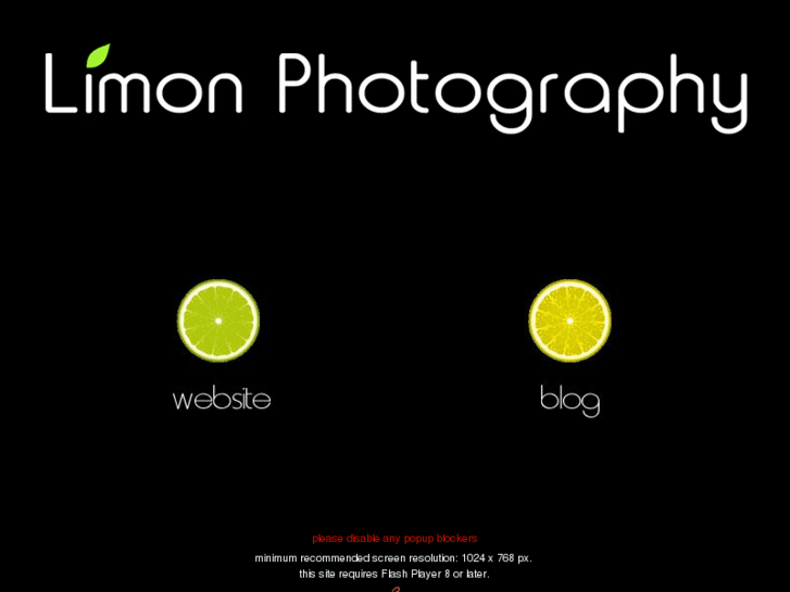 www.limonphotography.com