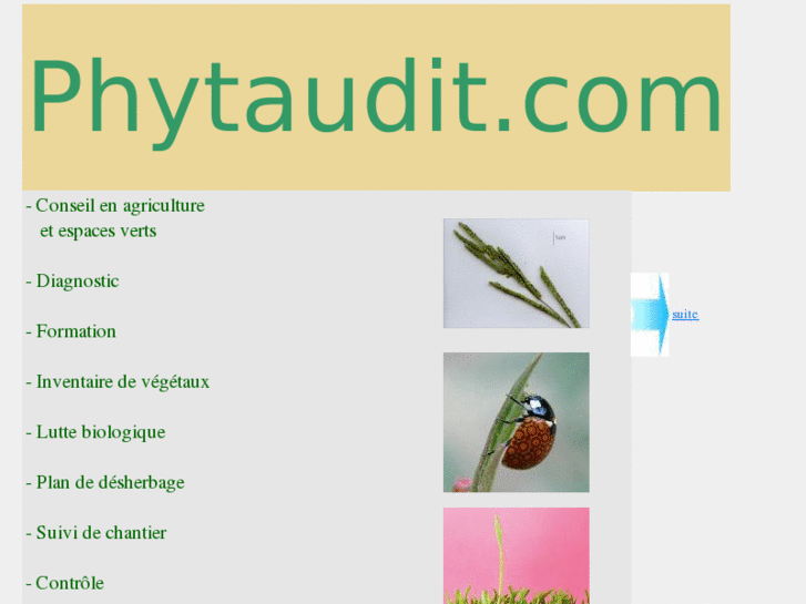 www.phytaudit.com