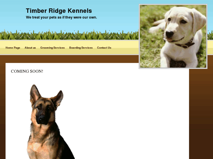 www.timberridgekennels.com