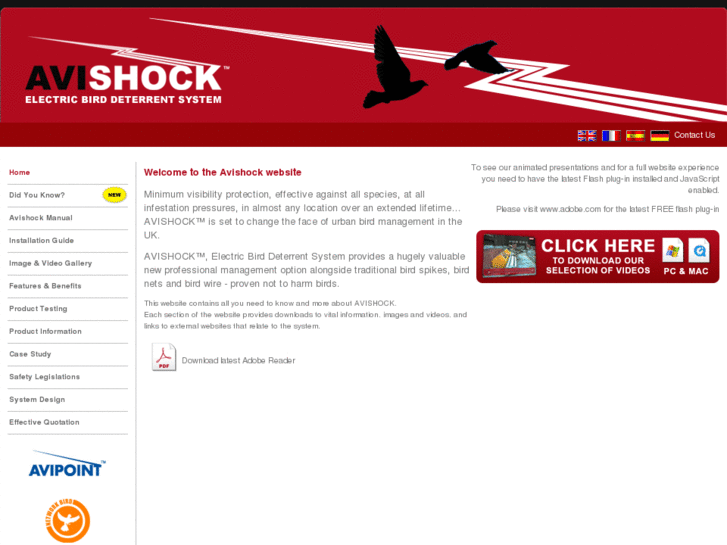 www.avishock.net