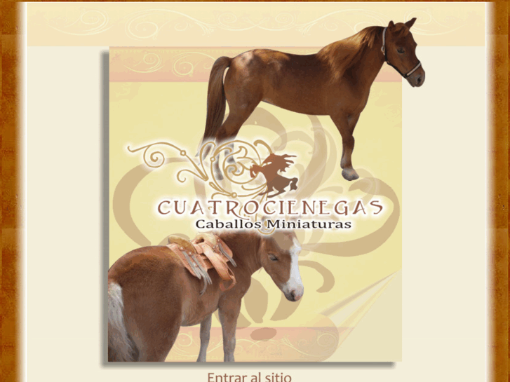 www.caballosminiaturas.com