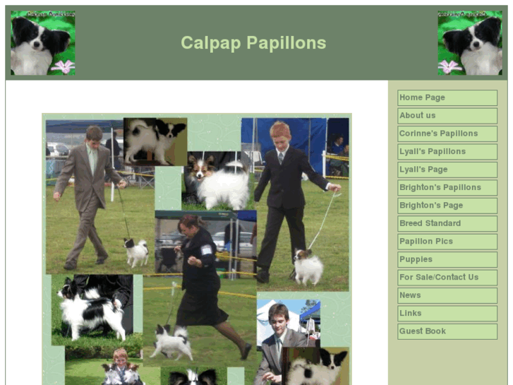 www.calpap.com