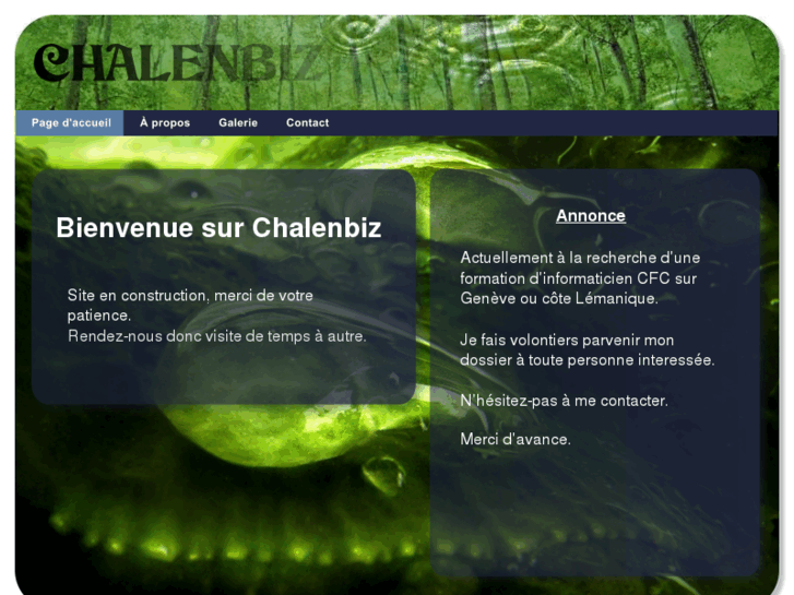 www.chalenbiz.net