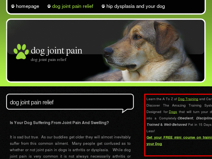 www.dogjointpain.net