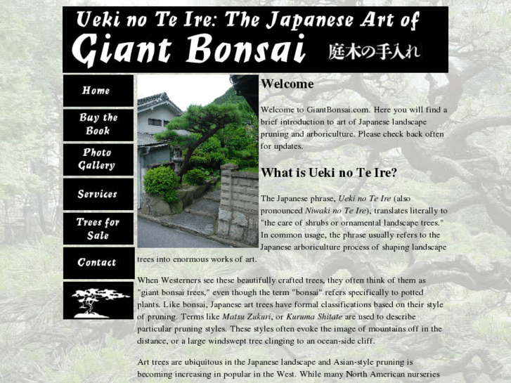 www.giantbonsai.com