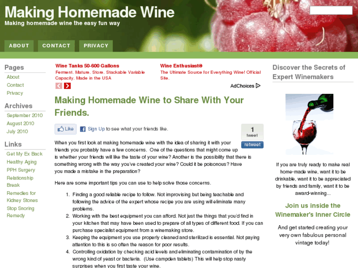 www.makinghomemadewinetips.com