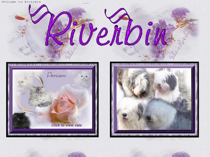 www.riverbin.com