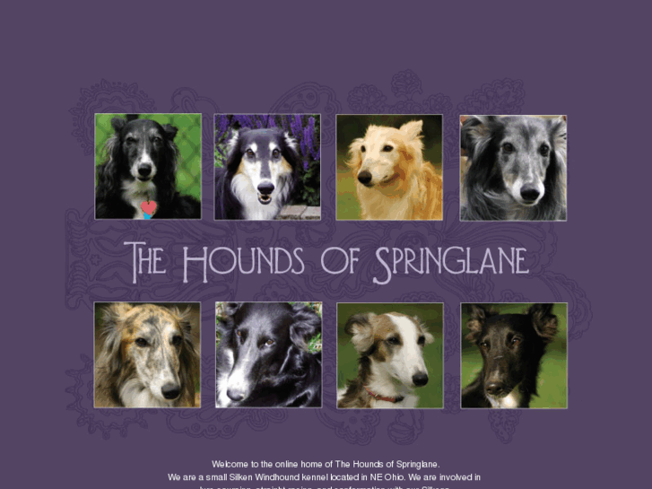 www.thehoundsofspringlane.com