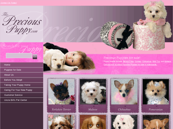 www.thepreciouspuppy.com