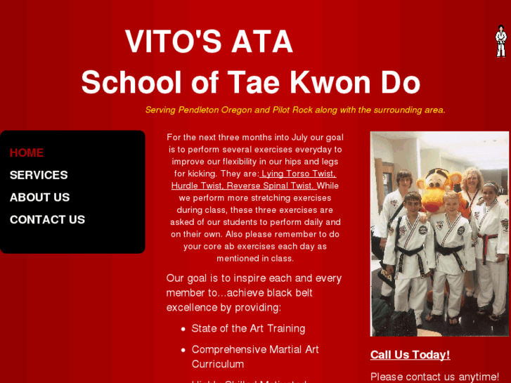 www.vitosataschooloftaekwondo.com