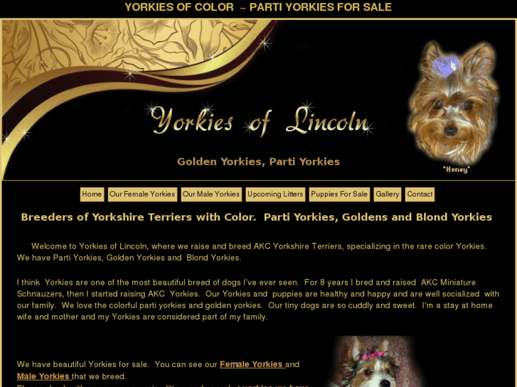 www.yorkiesoflincoln.com