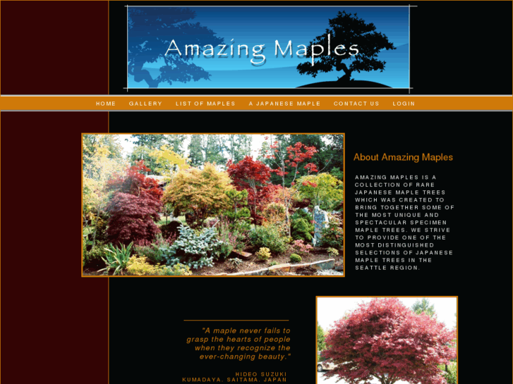 www.amazingmaples.com