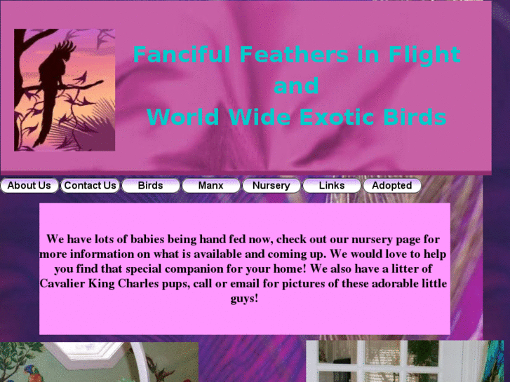 www.fancifulfeathersinflight.com