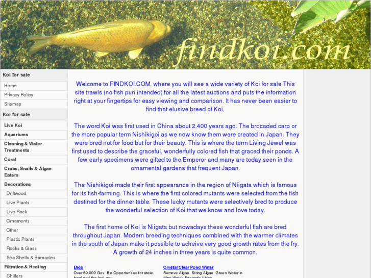 www.findkoi.com