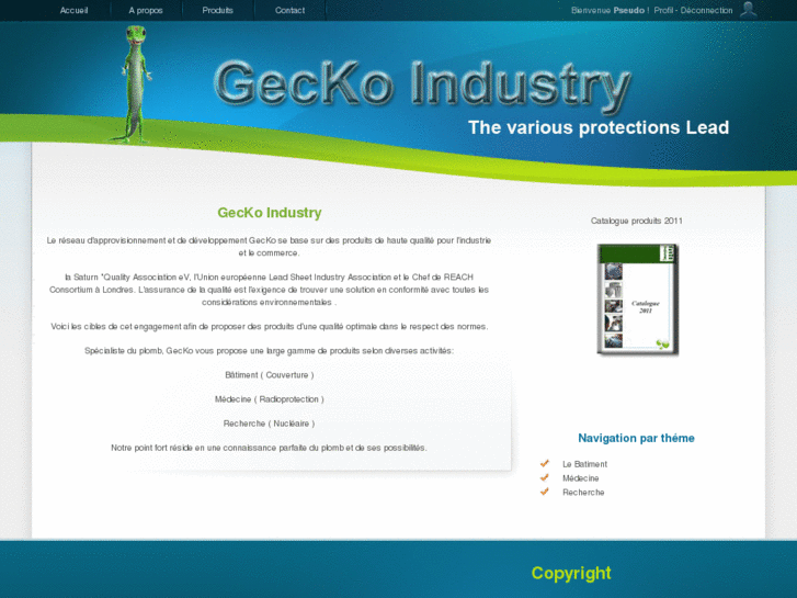 www.gecko-industry.com