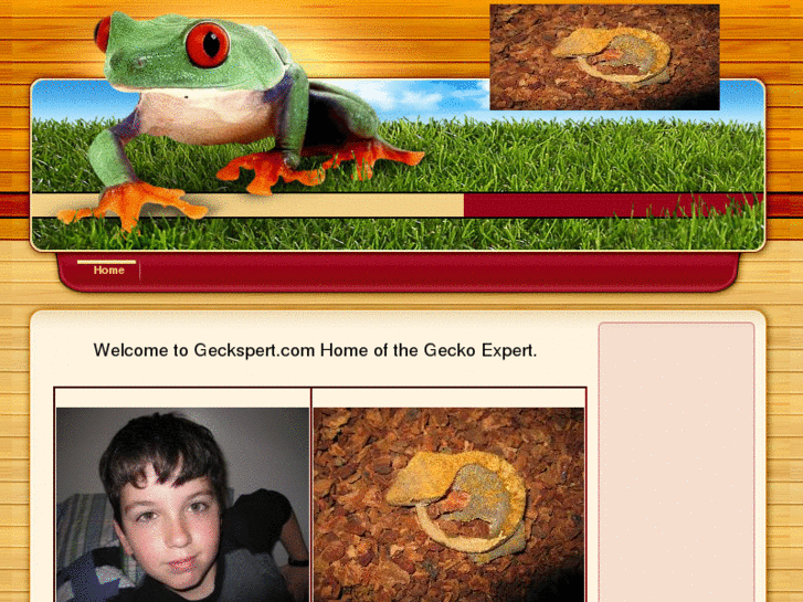 www.geckspert.com