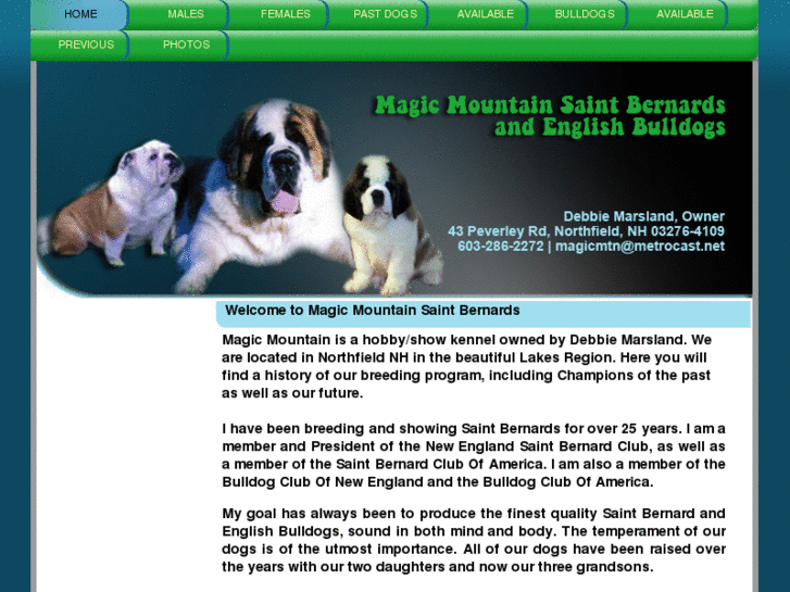 www.magicmountainsaintbernards.com