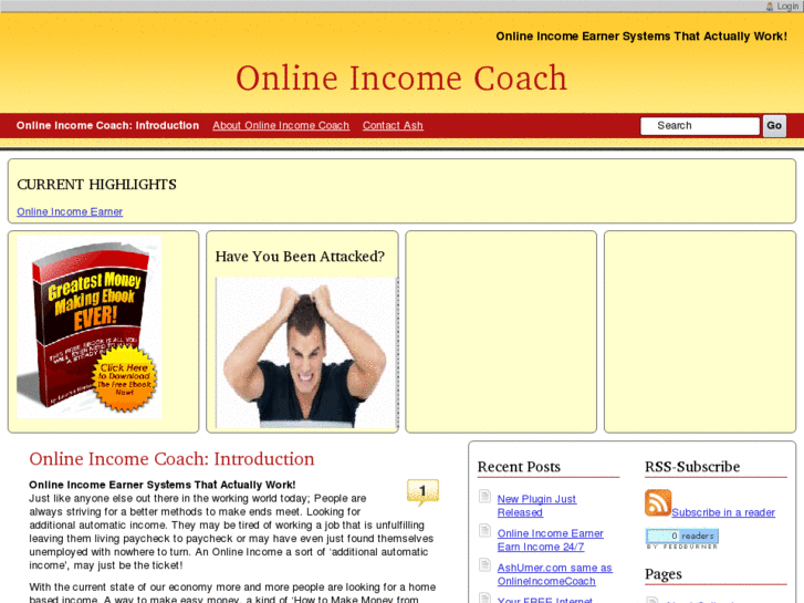 www.onlineincomecoach.co.uk