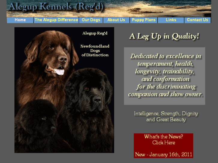 www.alegupkennels.com