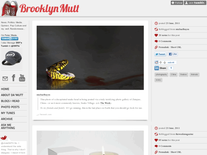 www.brooklynmutt.com