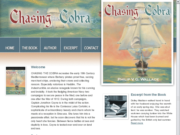 www.chasingthecobra.com