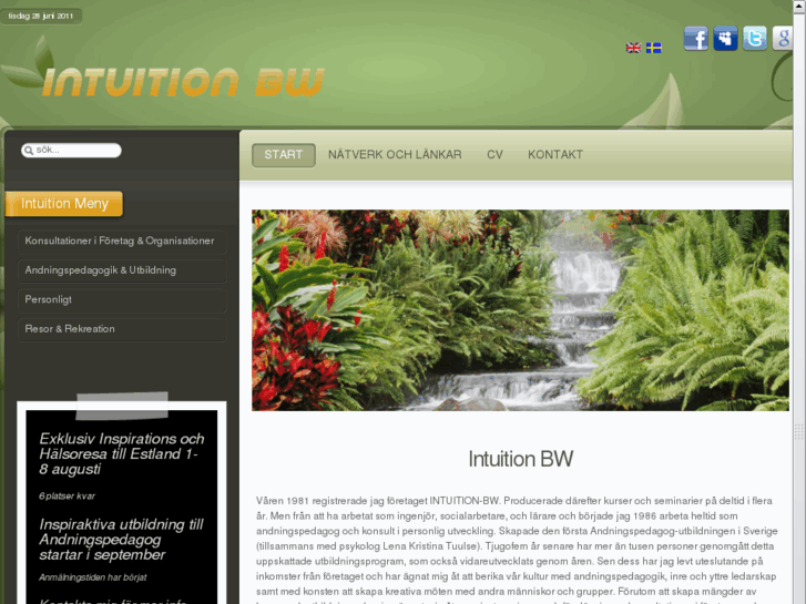 www.intuition-bw.com