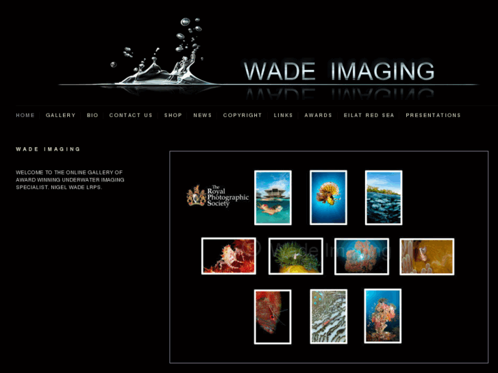 www.wadeimaging.com