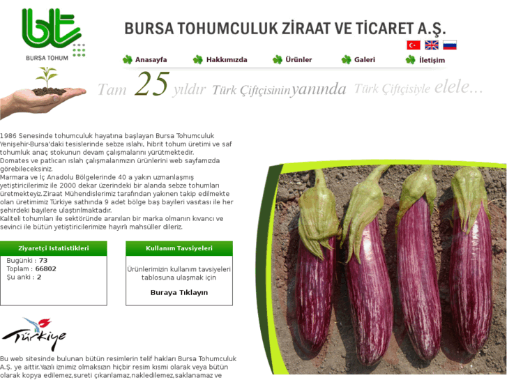 www.bursatohumculuk.com