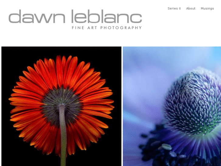 www.dawnleblanc.com