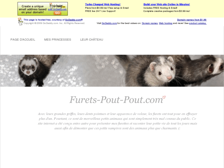 www.furets-pout-pout.com