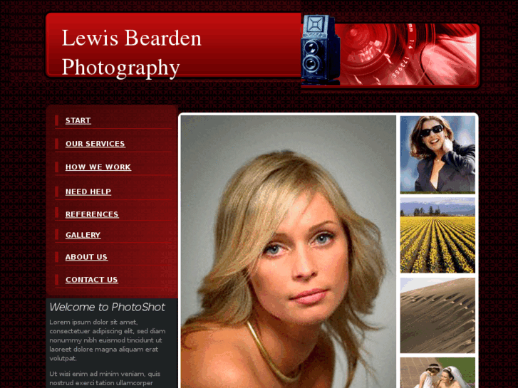 www.lewisbearden.com