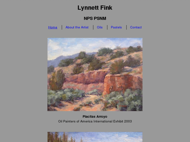 www.lynnettfink.com