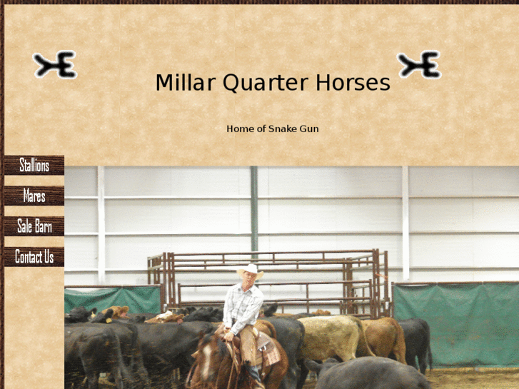 www.millarquarterhorses.com