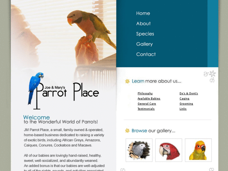 www.parrotbuyer.com