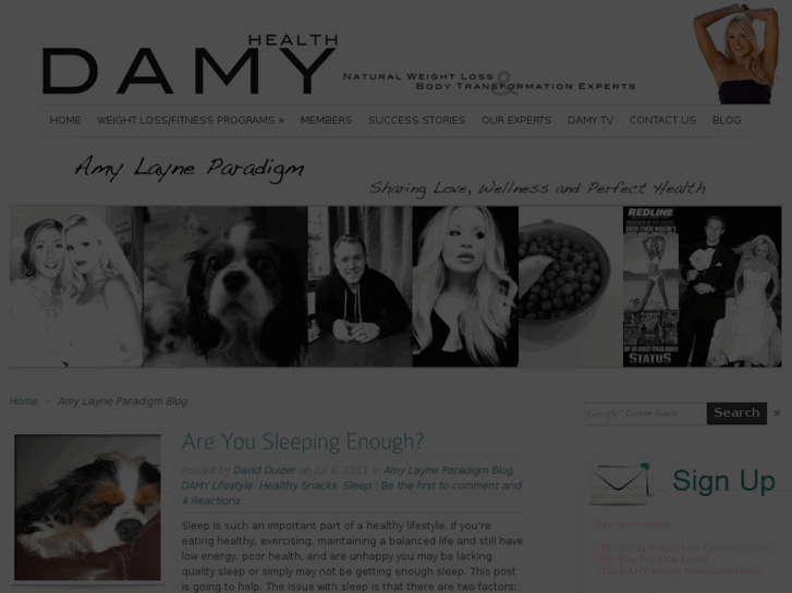 www.amylayneparadigm.com