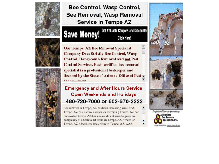 www.beecontroltempeaz.com