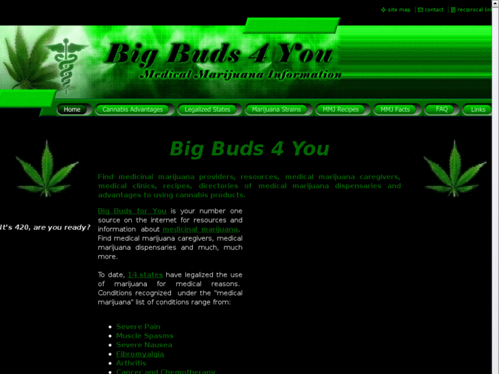 www.bigbuds4you.com