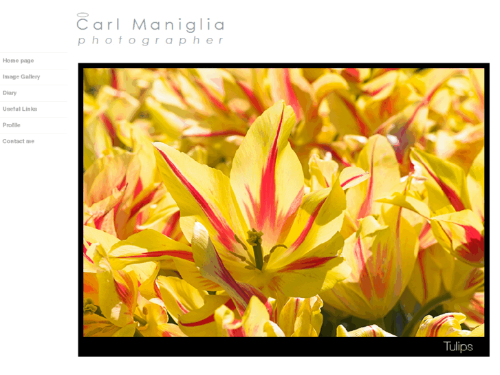 www.carlmaniglia.com