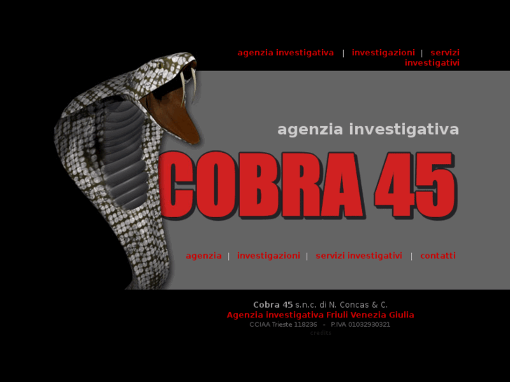 www.cobra45.it