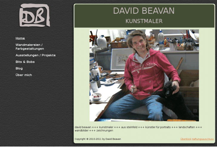 www.davidbeavan.com