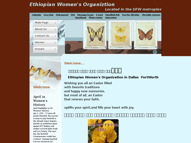 www.ethiowomen.org