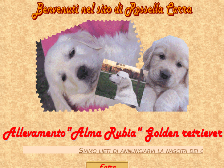 www.goldenros.it