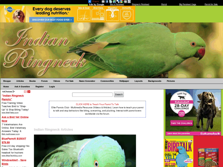 www.indianringneck.org