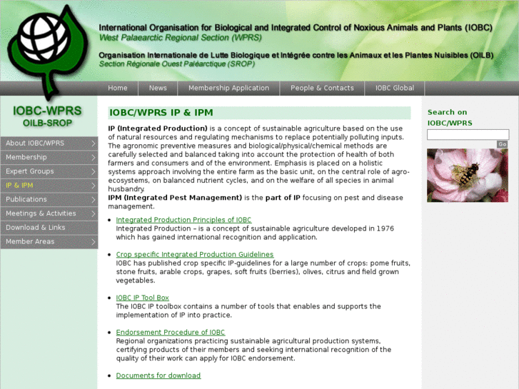 www.iobc.ch