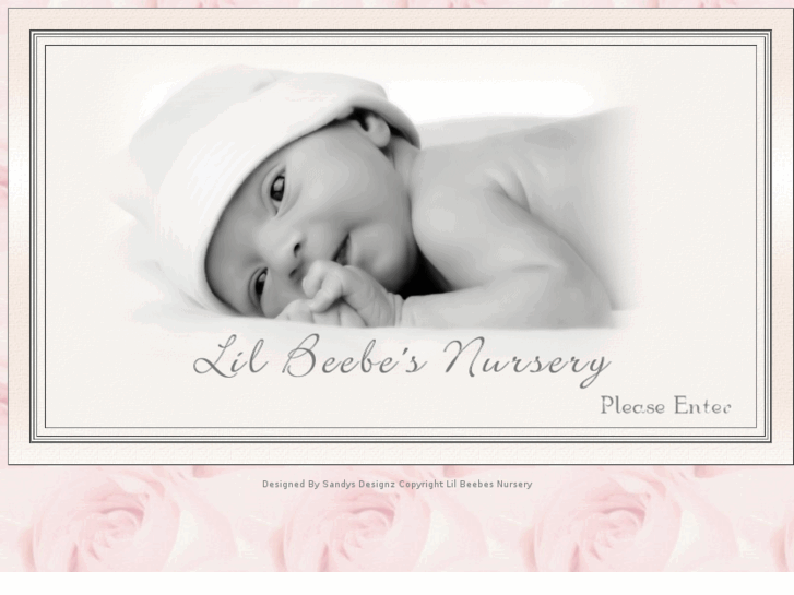 www.lilbeebesnursery.com