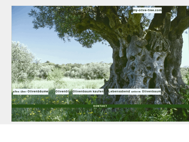 www.my-olive-tree.com