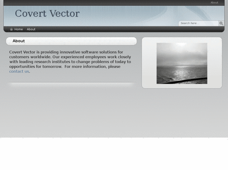 www.covertvector.no