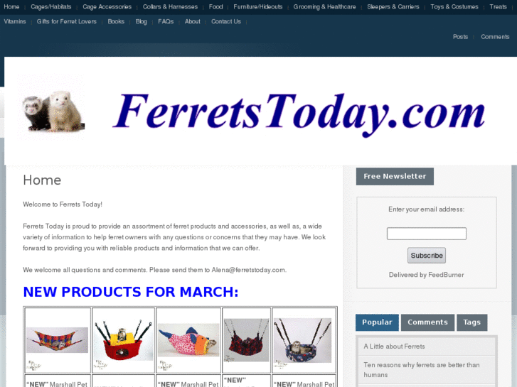 www.ferretstoday.com