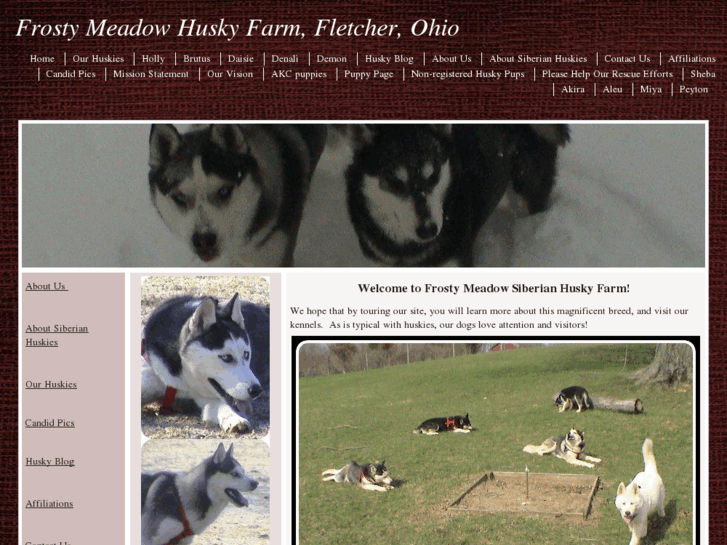 www.frostymeadowhuskyfarm.com